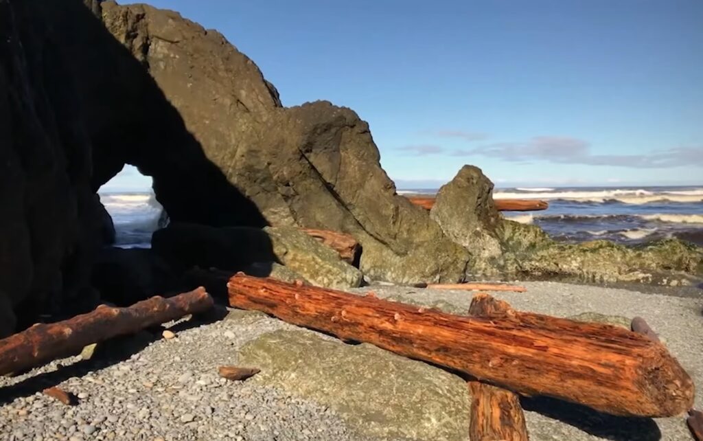 olympia wa national park