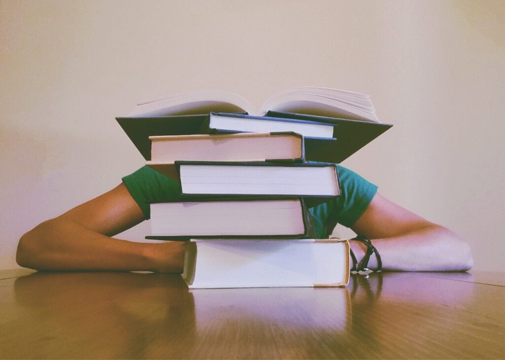 From Preschool to College: Exploring Olympia's Comprehensive Education Landscape