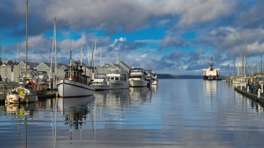 Olympia Washington - White Boats on Docking Area